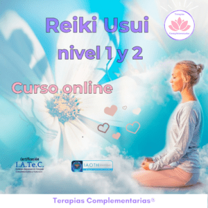 Reiki Usui